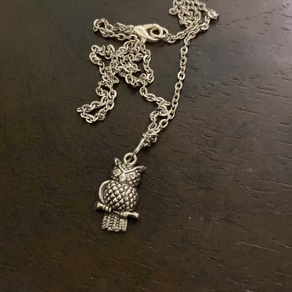 Dainty Silver Tone Owl Necklace